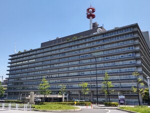 辺野古沖転覆、船所有者に事業登録手続きの徹底呼びかけへ…利用者にも安全確認求める