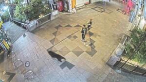 宇都宮市の中心部に相次ぎクマ…県庁付近や東武宇都宮駅近くのオリオン通り商店街など