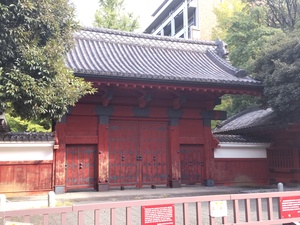 東大学長に女性初・藤垣裕子教授、上位３人への投票で染谷隆夫副学長の半分…会議で総合的に考慮し決定