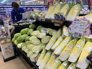 長雨や日照不足で「葉物野菜」高騰、レタス２倍・白菜は７割高…外食大手はメニュー変更・調達先拡大も危機感