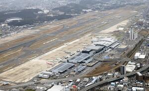 「小動物」騒動で欠航となった航空機、客室のカーペット裏で「シマヘビ」発見…野生のヘビが入り込んだか