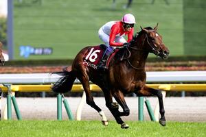 ゴーイントゥスカイ菊花賞Ｖ…ロブチェン三冠馬ならず、２着バステール・３着ダノンヒストリー