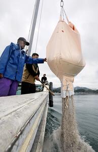 養殖カキ大量死の瀬戸内海で生育促そうと試行錯誤、ただ原因は特定できず…広島では「死んだ」との情報も